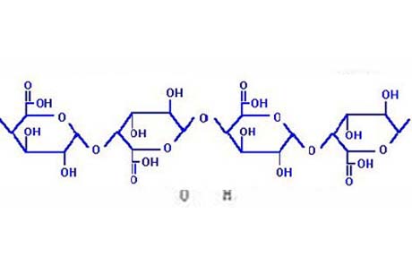 Polygalacturonic Acid