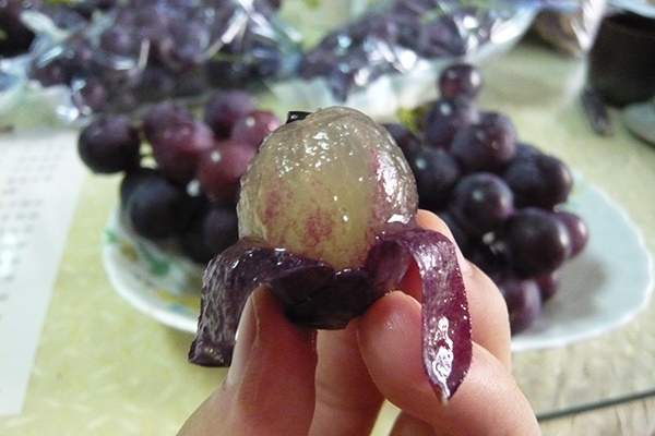 Grape Skin Extract